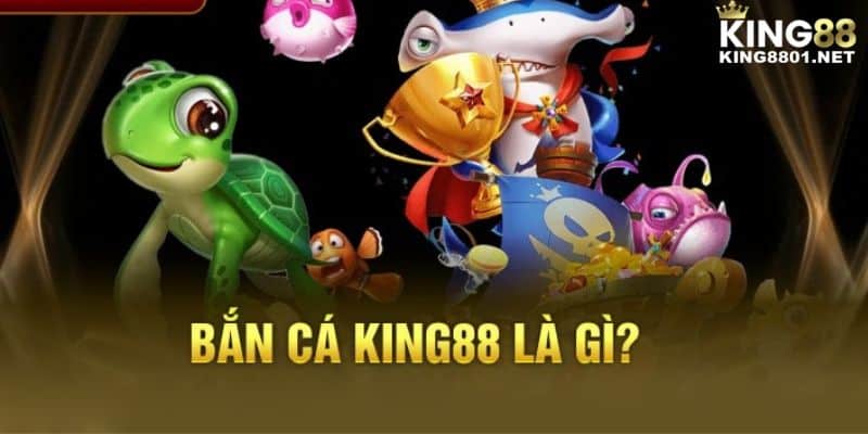 King8801.net Đỉnh Cao Giải Trí - Trải Nghiệm Cá Cược Số 1 Châu Á!